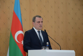  Los principales elementos del acuerdo de paz serán discutidos en Washington, según afirma el titular de Exteriores de Azerbaiyán