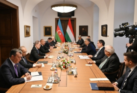   El presidente de Azerbaiyán se reúne en formato ampliado con el primer ministro húngaro  
