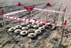     ANAMA  : Otras 195 hectáreas son despejadas de minas en territorios liberados   