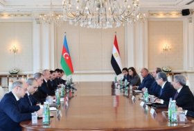   Presidente de Azerbaiyán: “Intensificaremos nuestra actividad conjunta con Egipto en las organizaciones internacionales”  