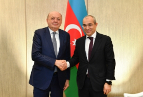 Se debaten las actividades de las empresas italianas en Karabaj y el fomento de las inversiones mutuas