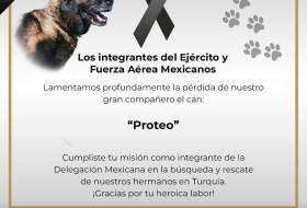 Muere el perro rescatista mexicano Proteo durante una operación de salvamento en Turquía