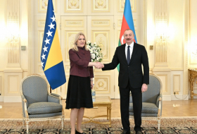  El Presidente de Azerbaiyán se reunió con la Presidenta de la Presidencia de Bosnia y Herzegovina 
