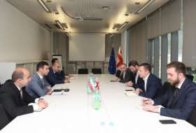 Se intercambian puntos de vista sobre el papel de las pymes en el aumento de las inversiones entre Georgia y Azerbaiyán