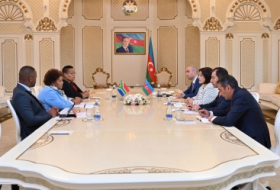 La Presidenta del Parlamento de Azerbaiyán se reúne con el Presidente de la Asamblea Nacional de la República de Sudáfrica