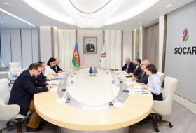   El Presidente de SOCAR de Azerbaiyán se reunió con la Directora de Estrategia y Coordinación de Política Energética de la Comisión Europea  