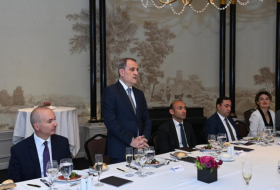   Ministro de Relaciones Exteriores de Azerbaiyán participa     en la mesa redonda de los países de la OSCE  
