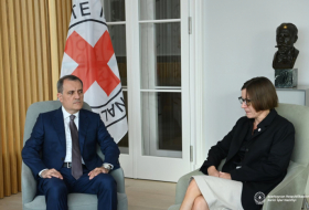   Ministro de Asuntos Exteriores de Azerbaiyán aborda con la Presidenta del CICR la situación actual en la región  