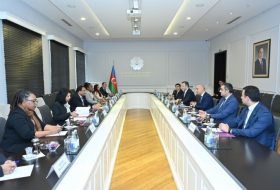 Azerbaiyán y Surinam discuten las perspectivas de cooperación educativa