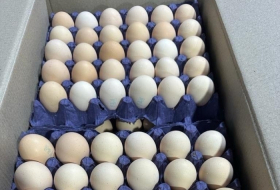 Azerbaiyán ha exportado 36 toneladas de huevos a Rusia