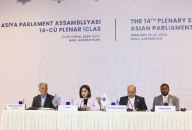 La 14ª Sesión Plenaria de la Asamblea Parlamentaria Asiática continúa con las reuniones de las comisiones