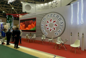 Empresas azerbaiyanas presentan sus productos en la feria Prodexpo-2024 de Moscú