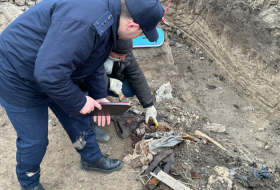  Los restos de niños fueron descubiertos en el cementerio de Joyalí 