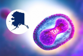¿Qué es Alaskapox? Una reciente muerte llama la atención sobre un virus presente en pequeños animales