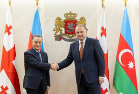El Secretario del Consejo de Seguridad de Azerbaiyán se reúne con el Ministro de Defensa de Georgia