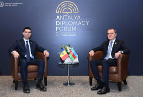  Se reunieron los Ministros de Asuntos Exteriores de Azerbaiyán y Moldavia 