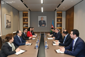   Se debaten las perspectivas de cooperación entre Azerbaiyán y Türkiye  