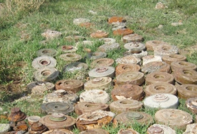   ANAMA:  La semana pasada se limpiaron de minas y artefactos explosivos sin detonar 462,1 hectáreas de terreno 
