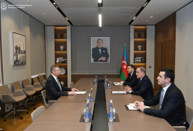 Canciller de Azerbaiyán recibió al Embajador ucraniano con motivo de la finalización de su misión