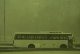  Cielo verde y tormenta apocalíptica se suman al caos climático en Dubái 