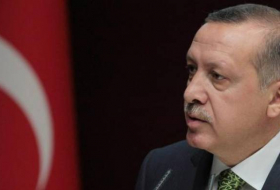 Erdogan resalta la importancia de la Organización de la Cooperación Económica del Mar Negro