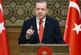 Erdogan: “Alemania está suicidándose al prohibir mi discurso ante los turcos”