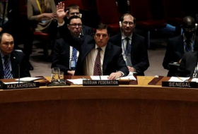 Alemania lamenta el veto de la resolución sobre Siria en el Consejo de Seguridad