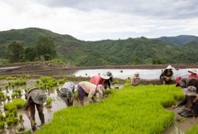 El `milagro` de Samsung en Vietnam: un granjero ahora gana más que un banquero