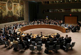 Consejo de Seguridad de la ONU llama a investigar la muerte de dos pacificadores en Congo