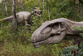 Hallan en Siberia un supuesto `refugio` de dinosaurios