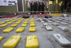 ONU certifica cantidad de droga destruida en Bolivia en 2016