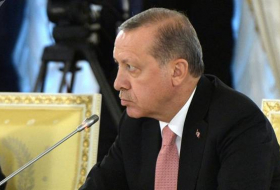 Ankara alertó a Berlín de posible ataque a Erdogan en la cumbre del G20