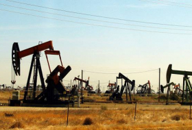 FGE: la OPEP tiene que reducir la extracción de petróleo