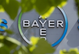 Fusión Bayer-Monsanto reducirá la inversión en desarrollo científico 