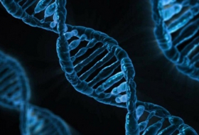 Científicos buscan tratar cáncer editando el genoma humano
