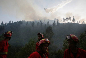 Incendios forestales arrasan 12.000 hectáreas en un día en el Lejano Oriente ruso