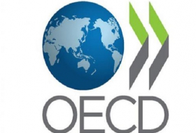 Perú y Chile presidirán comité regional para América Latina de la OCDE