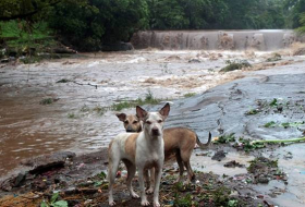 Siete muertos y seis desaparecidos por tormenta tropical Nate en Nicaragua