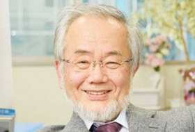 Yoshinori Ohsumi gana el premio Nobel de Medicina 2016 por iluminar el sistema de reciclaje del cuerpo