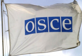 OSCE expresa preocupación por decisión de EEUU de revocar neutralidad en Internet