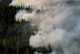 Se reduce en 40% el número de los incendios forestales en el Lejano Oriente ruso