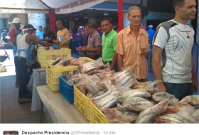 William Contreras: 11 mil kg de sardinas incautadas se venden plaza Caracas