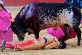 Murió el torero tras una brutal cornada en Teruel