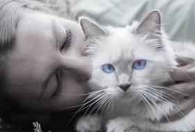 ¿Buscas trabajo? Una clínica en Dublín pide un 'acariciador' de gatos